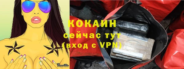сатива Белокуриха