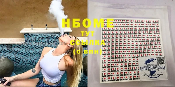 сатива Белокуриха