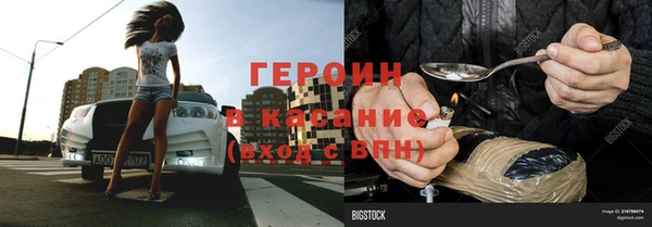 сатива Белокуриха
