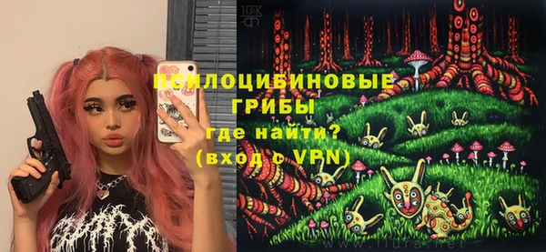 сатива Белокуриха