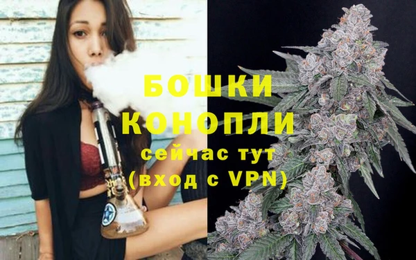 сатива Белокуриха