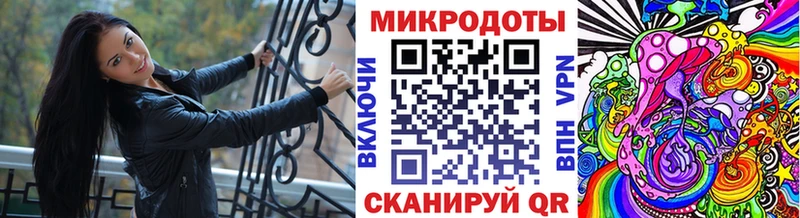 блэк спрут сайт Иноземцево Галлюциногенные грибы Psilocybe